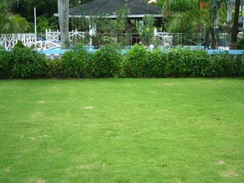 Paradise Brandon Hill Guest House Montego Bay Dış mekan fotoğraf