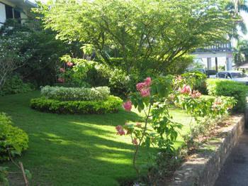 Paradise Brandon Hill Guest House Montego Bay Dış mekan fotoğraf